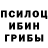 Псилоцибиновые грибы Psilocybe DJ V.
