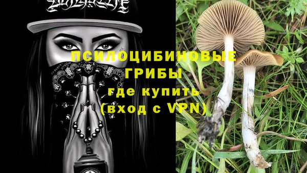 гидропоника Алзамай