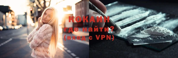 молекула духа Алексин