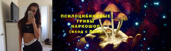 а пвп мука Алексеевка