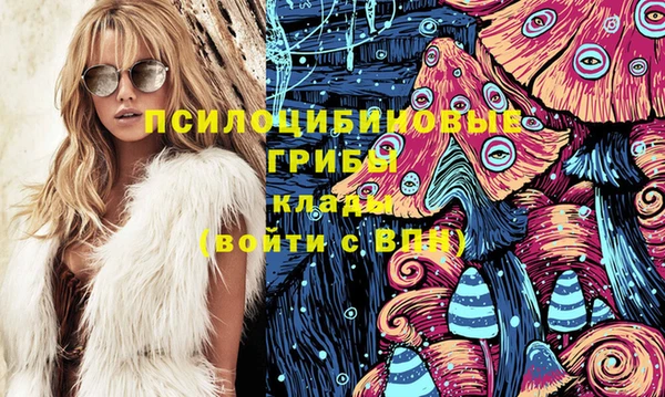гидропоника Алзамай