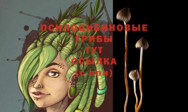 молекула духа Алексин