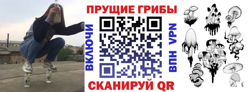 Галлюциногенные грибы мухоморы  блэк спрут вход  Муром 